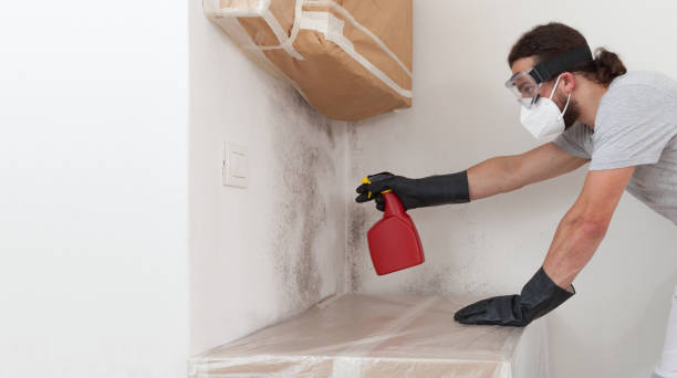 Professional Mold Removal technician working in Fairview, OR