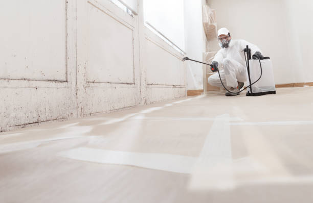 24/7 Emergency Mold Removal experts in Fairview, OR