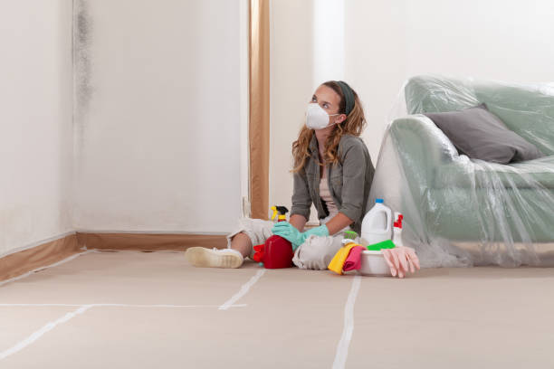 Reliable Mold Removal contractor in Fairview, OR by Mold Remediation HQ