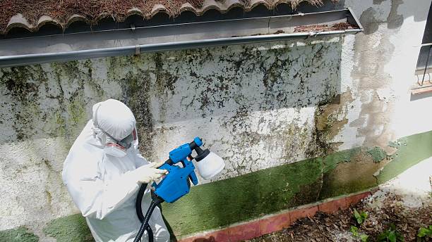 Top rated local Mold Removal specialists in Fairview, OR
